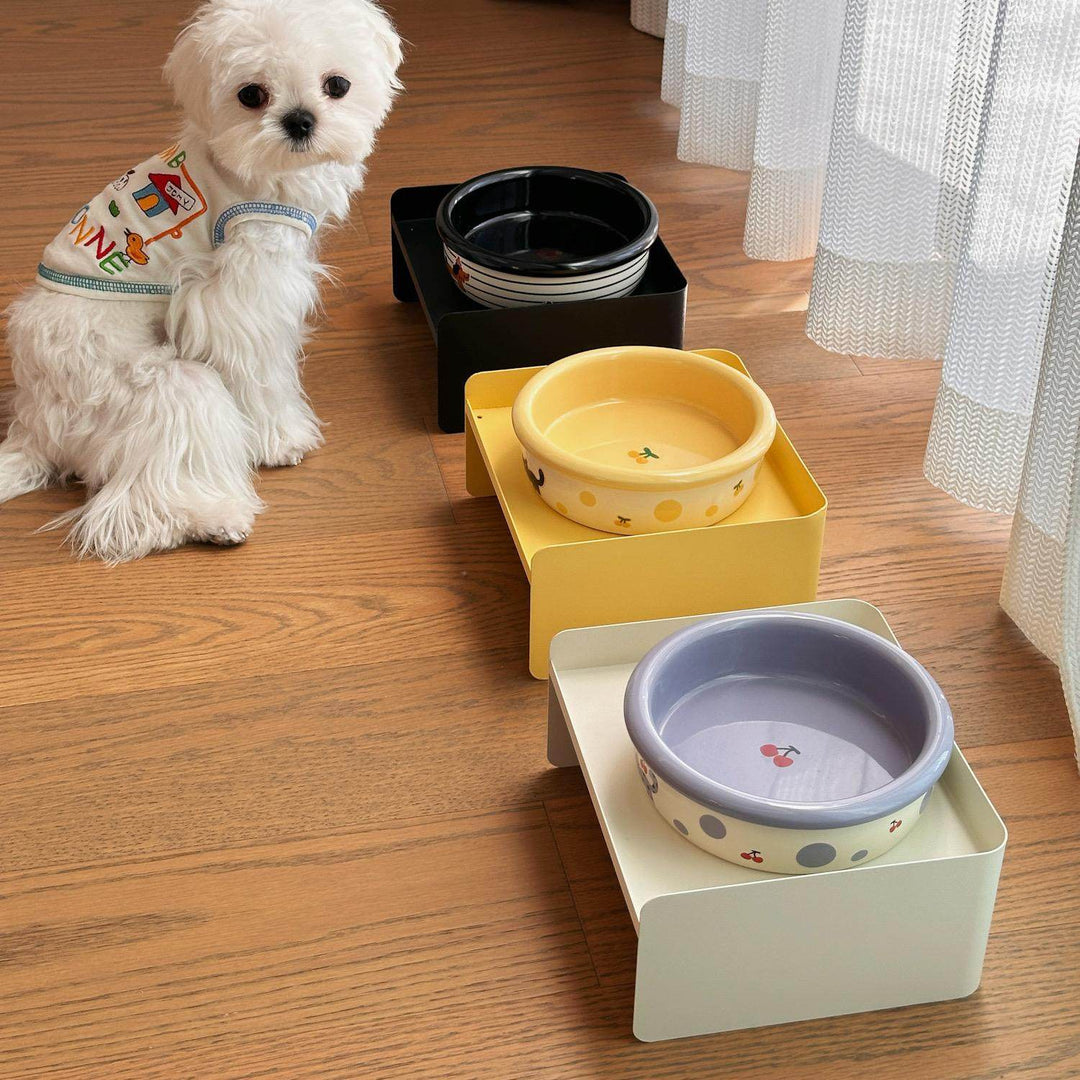 An image of Ceramic Pet Bowl for Cats & Small Dogs – Everyday Feeding Bowl
