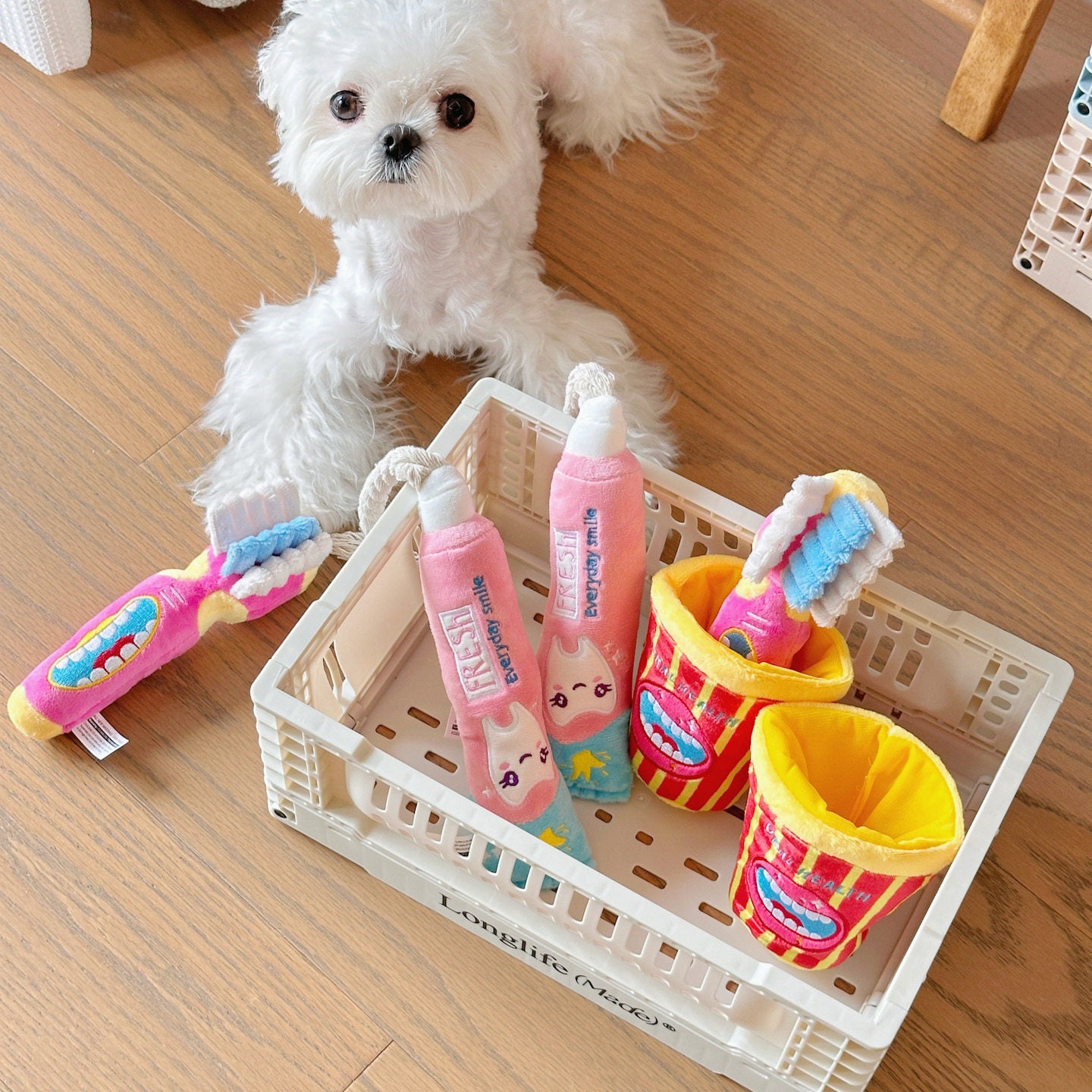 3pcs Durable Squeaky Dog Toy for Small & Medium Dogs