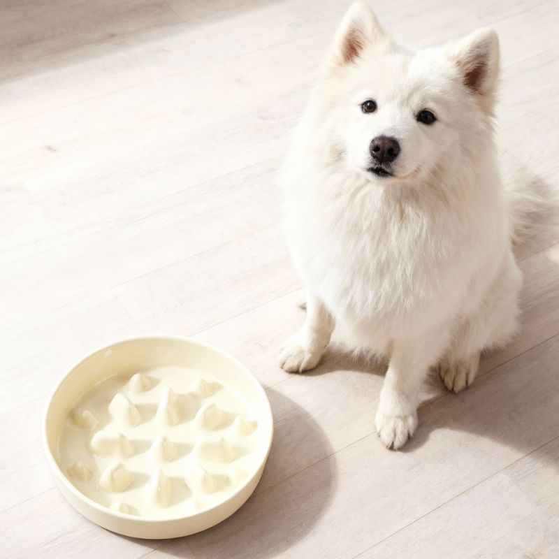 Ceramic Slow Feeder Bowl for All Dog Sizes – Anti-Choking Feeding Bowl