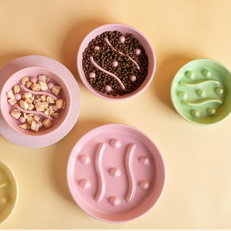 Ceramic Slow Feeder Bowl for Cats and Dogs