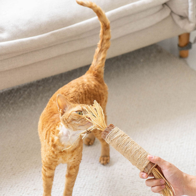 Extra Large Catnip & Silvervine Teaser Stick – Chew & Dental Toy for Cats