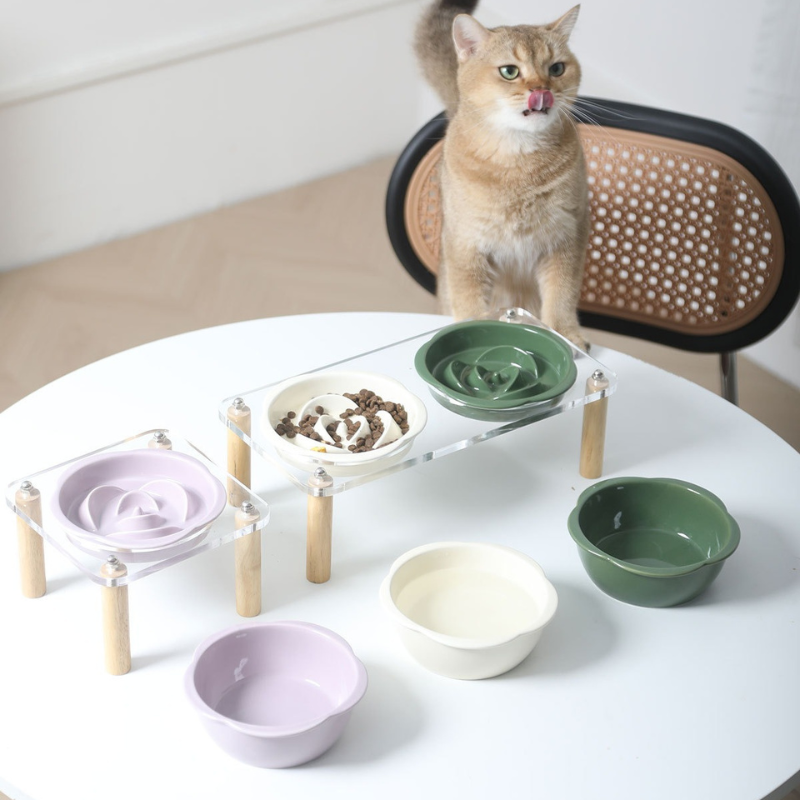 Elevated Ceramic Pet Bowl Set with Acrylic Stand – Slow Feeder Design for Cats & Small Dogs