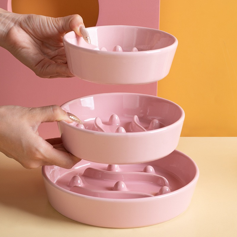 Ceramic Slow Feeder Bowl for Cats and Dogs