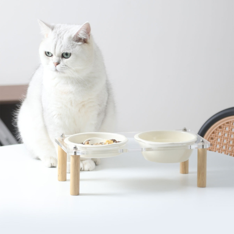 Elevated Ceramic Pet Bowl Set with Acrylic Stand – Slow Feeder Design for Cats & Small Dogs