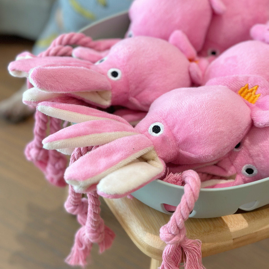 Squeaky Interactive Dog Toy for Daily Play