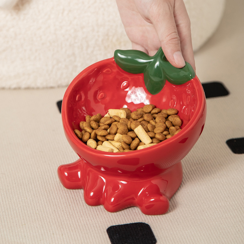 Elevated Ceramic Pet Bowl – Neck-Support Design,