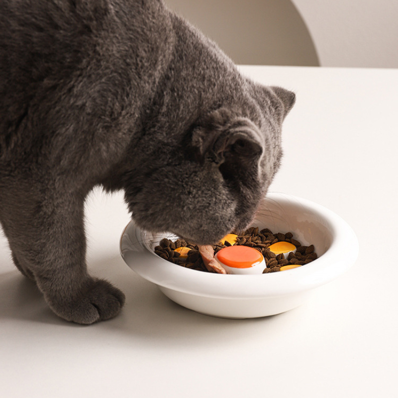 Ceramic Slow Feeder Bowl for Cats and Small Dogs (Up to 8kg)