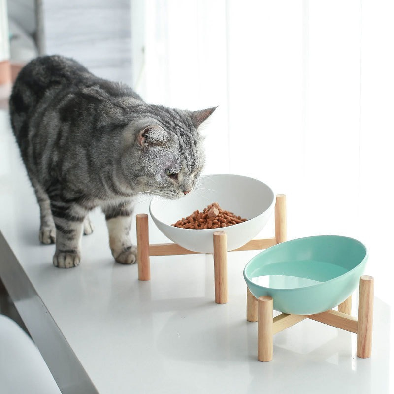 Elevated Slanted Ceramic Pet Bowl for Cats & Small Dogs