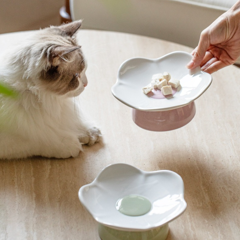 Elevated Ceramic Cat Dish (Shallow Plate)
