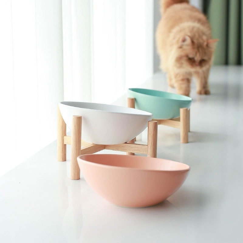 Elevated Slanted Ceramic Pet Bowl for Cats & Small Dogs