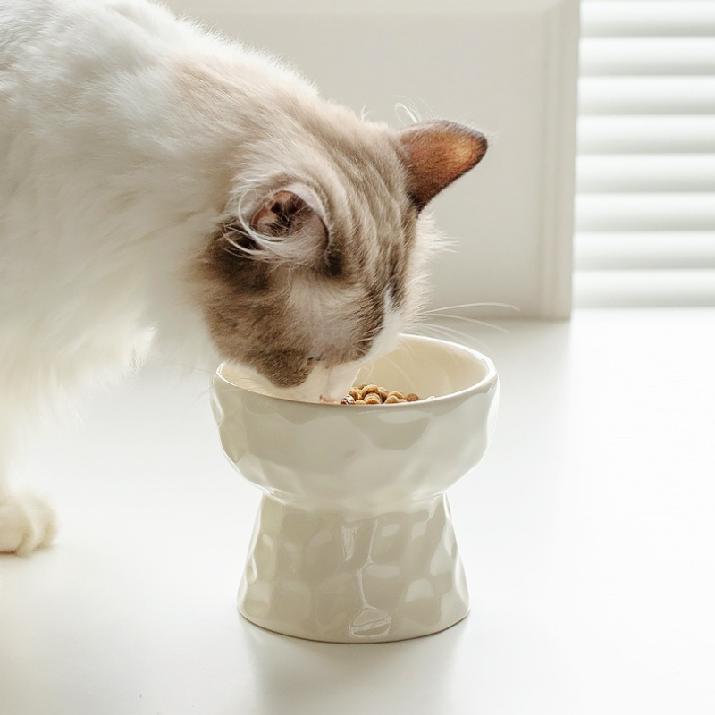 Elevated Tilted Ceramic Pet Bowl – Neck-Friendly Feeder for Cats & Small Dogs