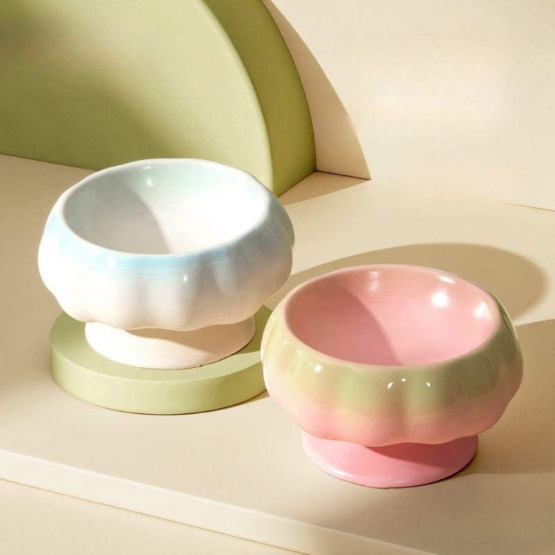 Ceramic Cat Bowl – Tilted Anti-Spill Pet Bowl for Cats, Neck-Friendly Food & Water Dishv