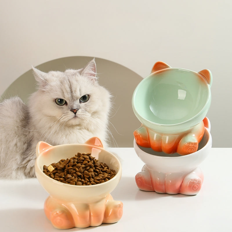 Gradient Ceramic Elevated Tilted Pet Bowl – Neck-Friendly Anti-Spill Bowl for Cats & Small Dogs