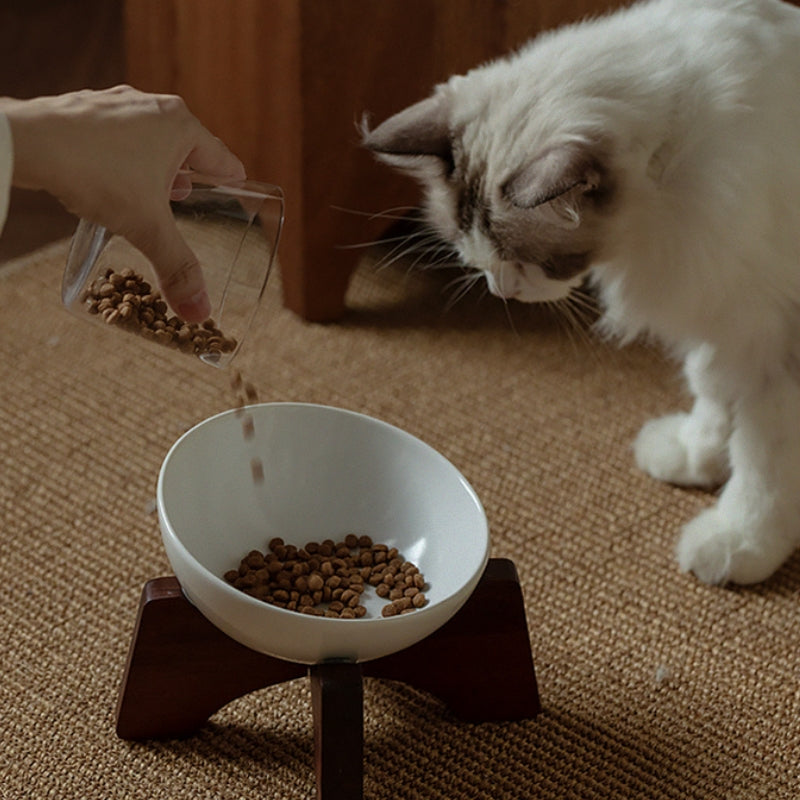 Ceramic Tilted Pet Bowl – Cat Food Bowl & Small Dog Feeding Dish