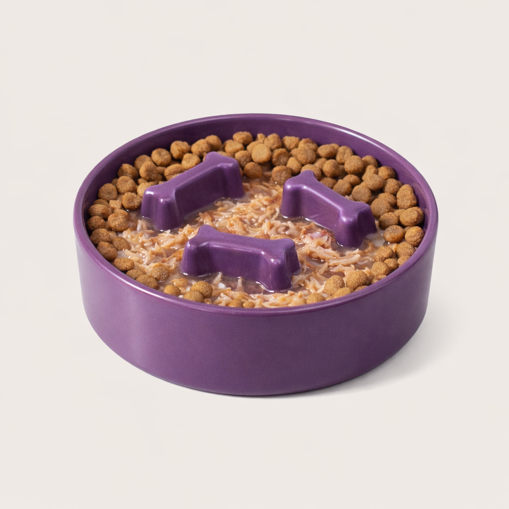 Bone-Shaped Ceramic Slow Feeder Bowl – Anti-Gulping Bowl for Small & Medium Dogs and Cats