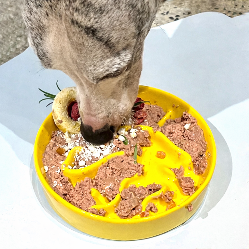 Anti-Tip Ceramic Pet Bowl – Food & Water Bowl for Cats and Small to Large Dogs