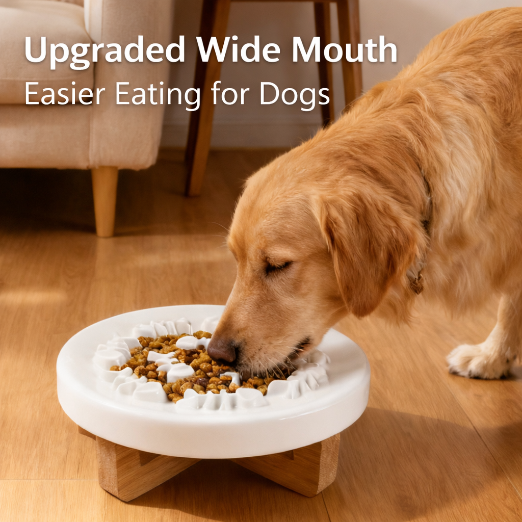 Ceramic Slow Feeder Dog Bowl – Wide Opening Elevated Bowl for Large & Medium Dogs
