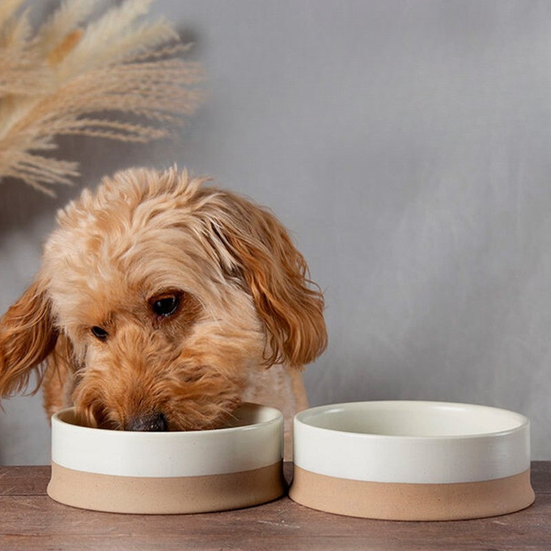 Anti-Tip Ceramic Pet Bowl – Food & Water Bowl for Cats and Small to Large Dogs