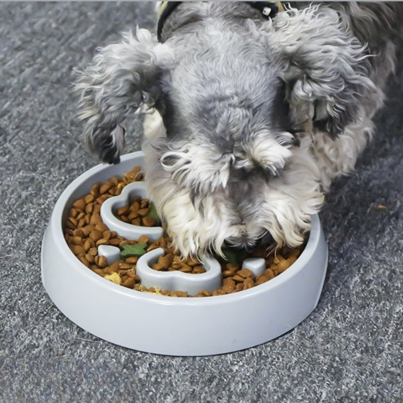 Dog Slow Feeder Bowl – Anti-Choking Slow Feeding & Enrichment Bowl for Medium & Large Dogs