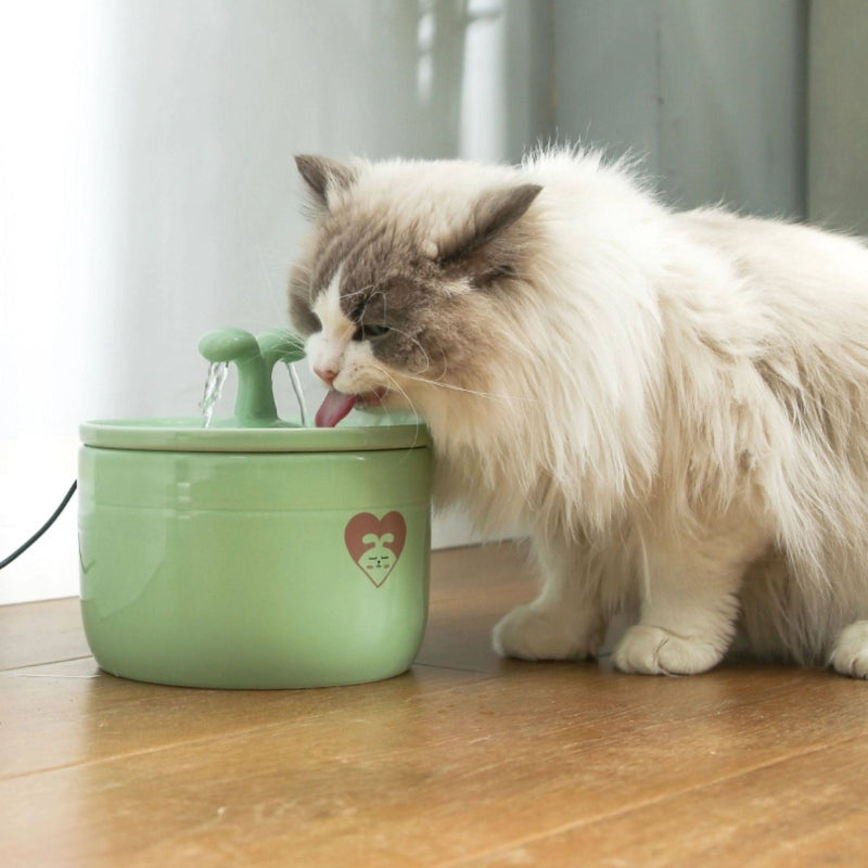 Ceramic Automatic Cat Water Fountain – Circulating Flow Pet Drinking Fountain
