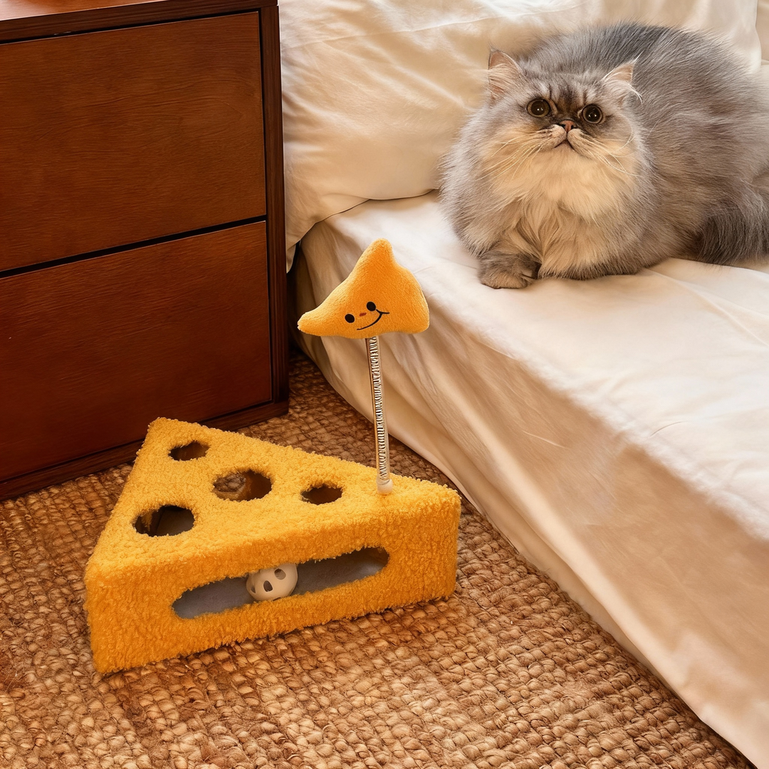 Cat Burrowing Toy – Interactive Hole Play Toy for Cats