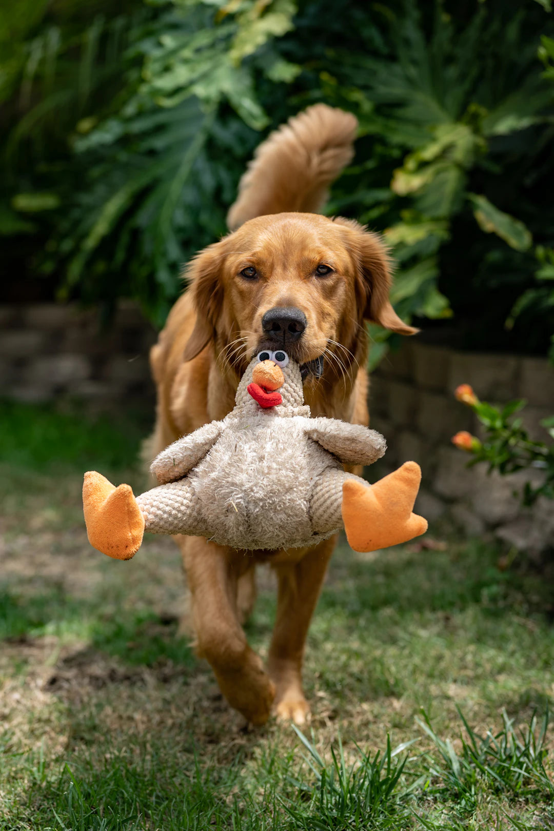 Engaging Plush Dog Toys for Interactive Playtime Fun