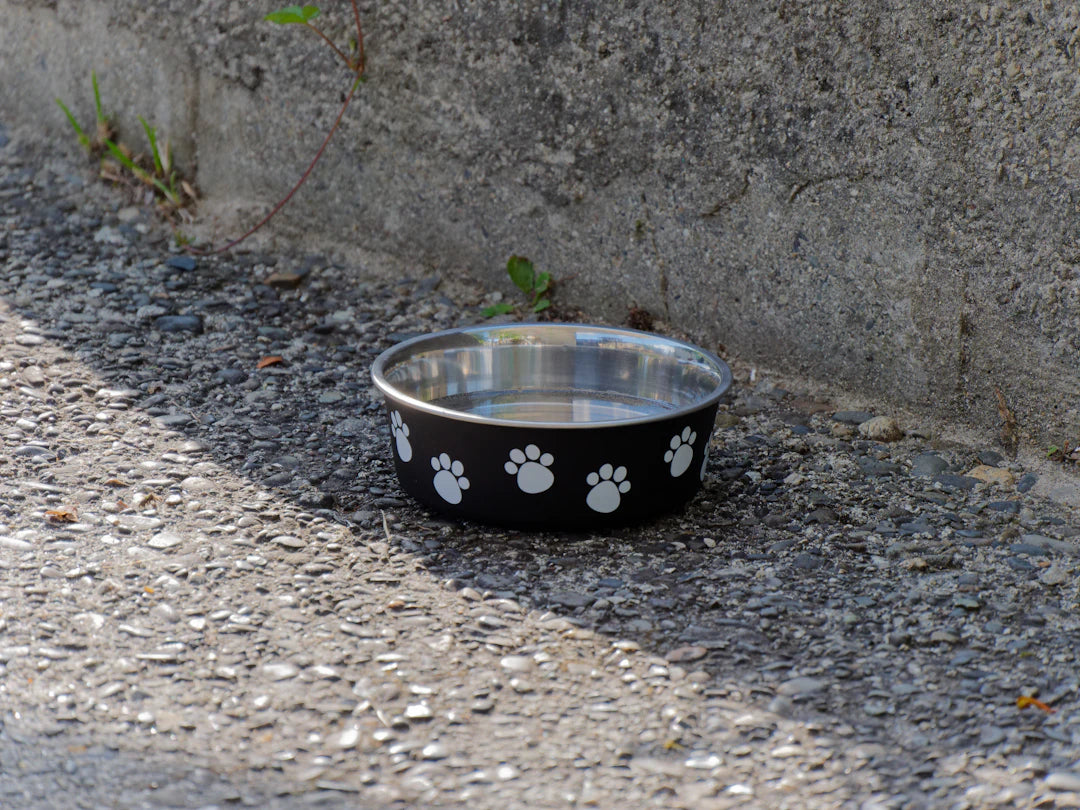 Ceramic Pet Bowls for Healthy Slow Feeding Across Sizes