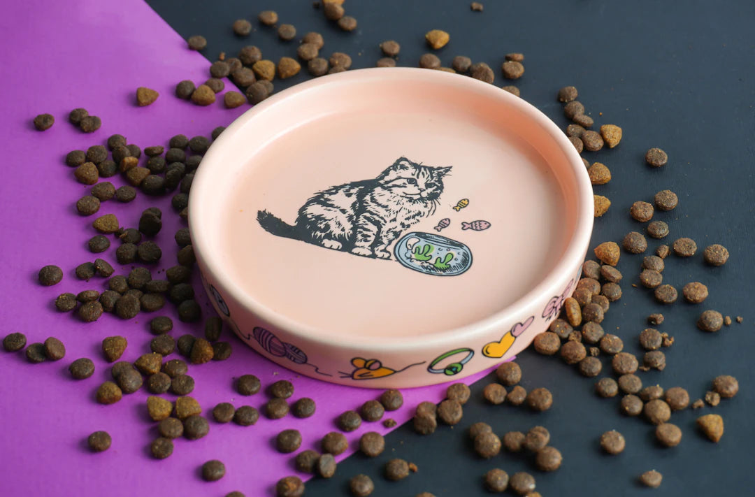 Ceramic Pet Bowls for Small Dogs Practical Feeding Solutions